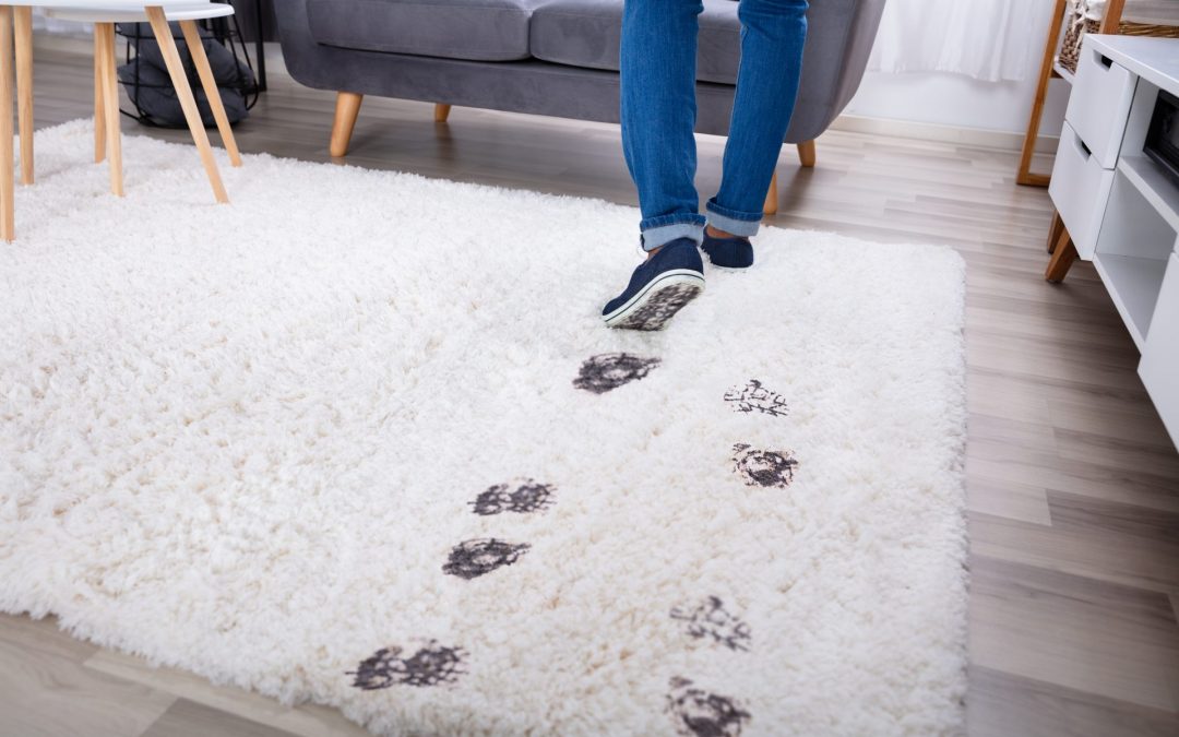 Value of a Mudroom